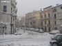 neve (47)